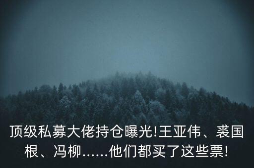 頂級(jí)私募大佬持倉曝光!王亞偉、裘國根、馮柳……他們都買了這些票!