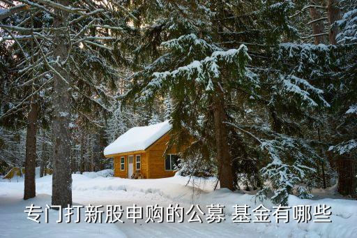 專門(mén)打新股申購(gòu)的公募 基金有哪些
