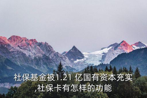 社?；鸨?.21 億國有資本充實,社?？ㄓ性鯓拥墓δ? class=