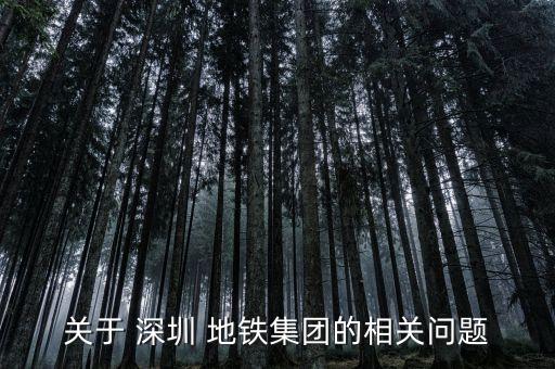 關于 深圳 地鐵集團的相關問題