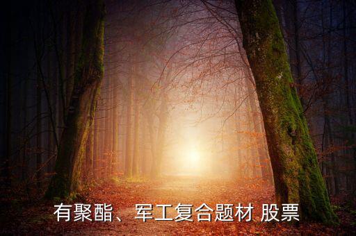 有聚酯、軍工復(fù)合題材 股票