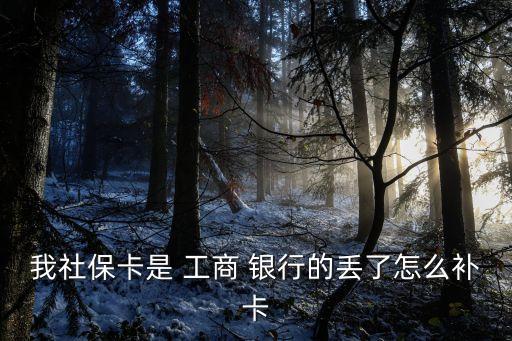 我社?？ㄊ?工商 銀行的丟了怎么補卡