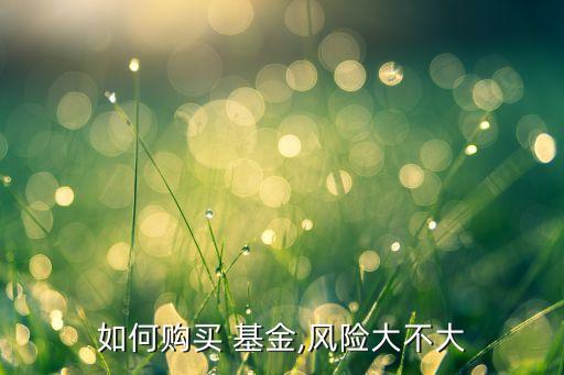 如何購(gòu)買(mǎi) 基金,風(fēng)險(xiǎn)大不大