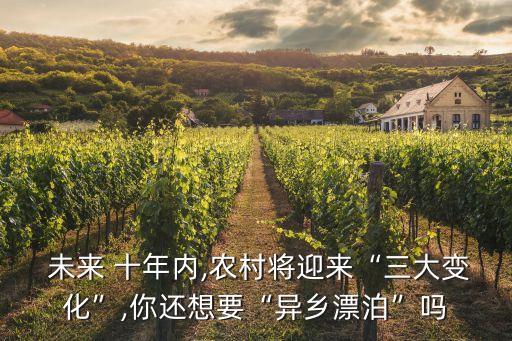 農(nóng)業(yè)投資未來(lái)十年,中國(guó)未來(lái)十年農(nóng)業(yè)發(fā)展趨勢(shì)