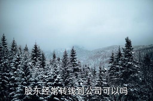 股東經常轉錢到公司可以嗎