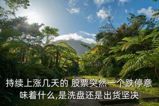 持續(xù)上漲幾天的 股票突然一個跌停意味著什么,是洗盤還是出貨堅(jiān)決