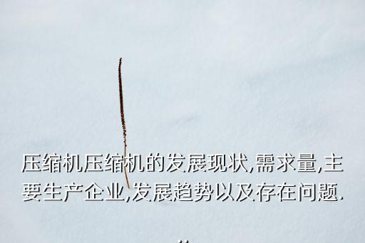 壓縮機(jī)壓縮機(jī)的發(fā)展現(xiàn)狀,需求量,主要生產(chǎn)企業(yè),發(fā)展趨勢(shì)以及存在問題...