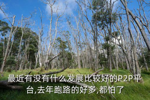 最近有沒有什么發(fā)展比較好的P2P平臺(tái),去年跑路的好多,都怕了