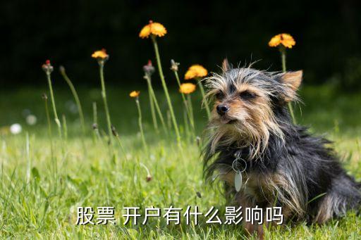 證券公司非現(xiàn)場(chǎng)開(kāi)戶弊端