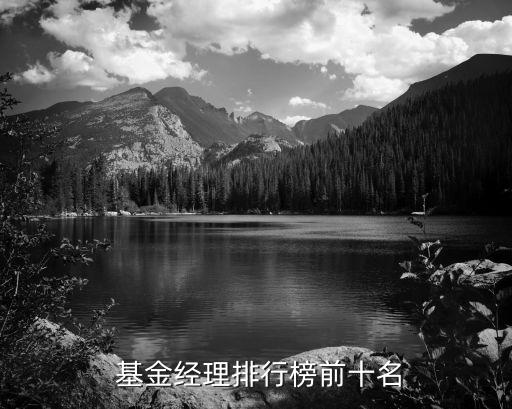  基金經理排行榜前十名