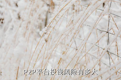 P2P平臺投錢風險有多大