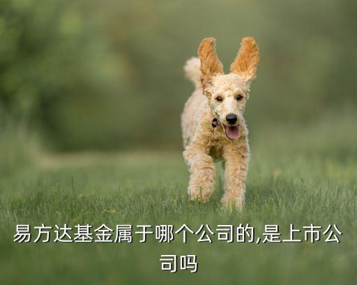 易方達(dá)基金屬于哪個公司的,是上市公司嗎