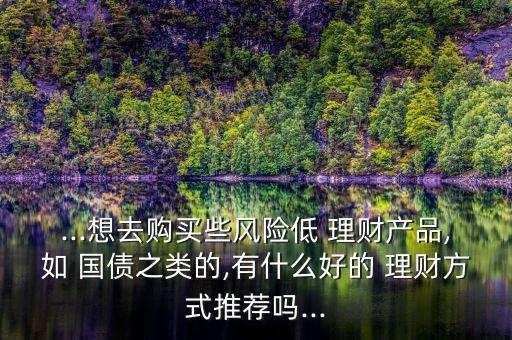 ...想去購(gòu)買(mǎi)些風(fēng)險(xiǎn)低 理財(cái)產(chǎn)品,如 國(guó)債之類(lèi)的,有什么好的 理財(cái)方式推薦嗎...