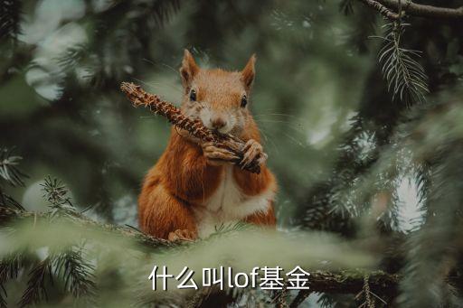 上?？缡袌鰁tf,跨市場ETF