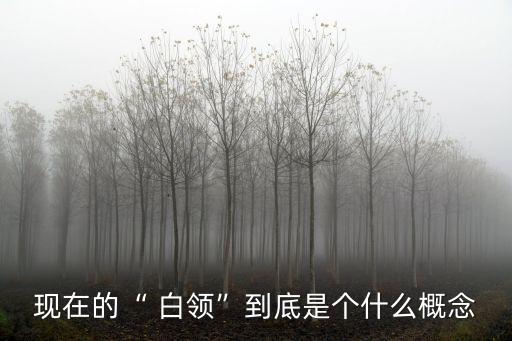 中國白領增長,中國女性白領人數(shù)