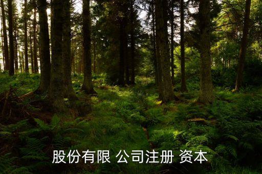 上市公司注冊(cè)資本