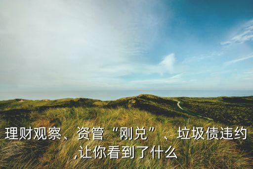 理財(cái)觀察、資管“剛兌”、垃圾債違約,讓你看到了什么