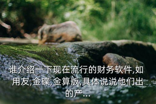 誰介紹一下現在流行的財務軟件,如 用友,金碟,金算版,具體說說他們出的產...