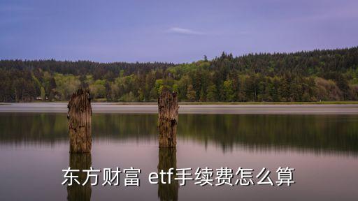東方財富 etf手續(xù)費(fèi)怎么算