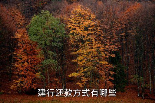 建設銀行的信用卡要怎么還錢
