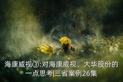 ?？低暍?對海康威視、大華股份的一點思考|三省案例26集
