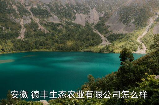 安徽 德豐生態(tài)農業(yè)有限公司怎么樣