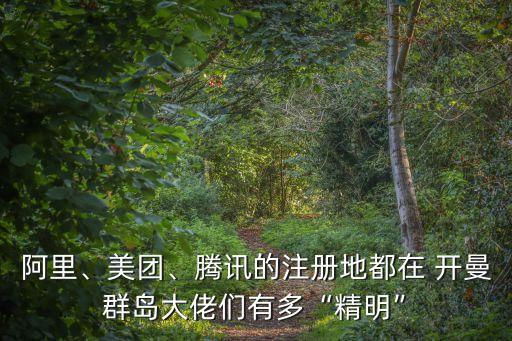 阿里、美團(tuán)、騰訊的注冊(cè)地都在 開(kāi)曼群島大佬們有多“精明”