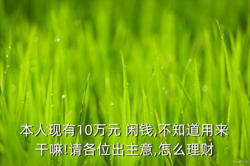 本人現(xiàn)有10萬元 閑錢,不知道用來干嘛!請(qǐng)各位出主意,怎么理財(cái)