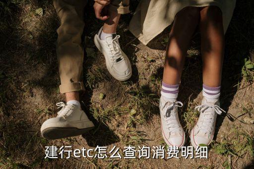建行etc怎么查詢消費明細(xì)