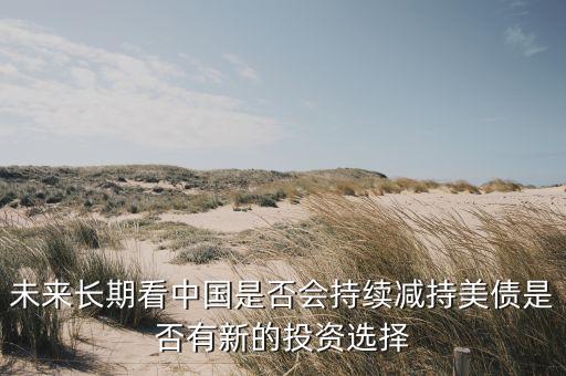 未來(lái)長(zhǎng)期看中國(guó)是否會(huì)持續(xù)減持美債是否有新的投資選擇