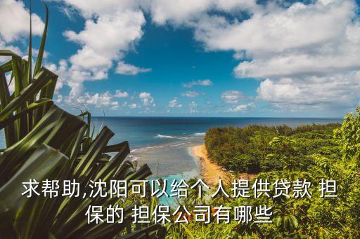 求幫助,沈陽(yáng)可以給個(gè)人提供貸款 擔(dān)保的 擔(dān)保公司有哪些