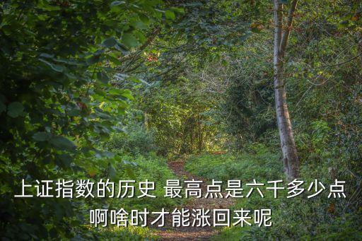 上證指數(shù)的歷史 最高點(diǎn)是六千多少點(diǎn)啊啥時才能漲回來呢