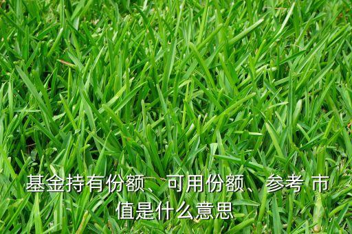  基金持有份額、可用份額、參考 市值是什么意思