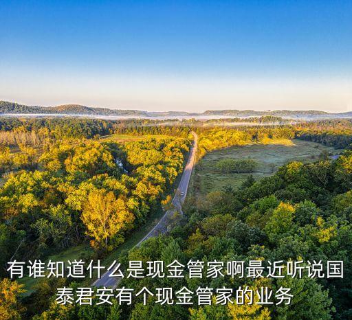 有誰(shuí)知道什么是現(xiàn)金管家啊最近聽(tīng)說(shuō)國(guó)泰君安有個(gè)現(xiàn)金管家的業(yè)務(wù)