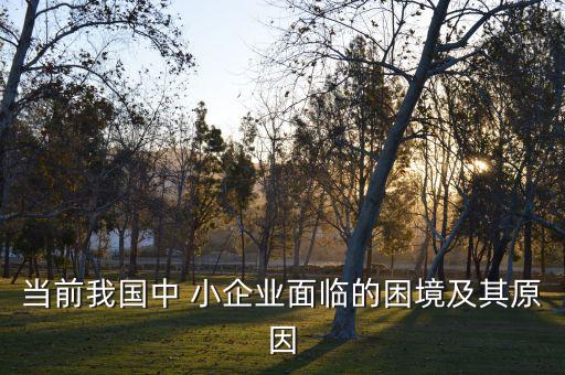 當(dāng)前我國(guó)中 小企業(yè)面臨的困境及其原因