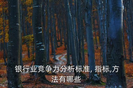  銀行業(yè)競爭力分析標準, 指標,方法有哪些