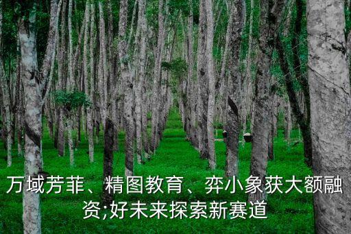 萬(wàn)域芳菲、精圖教育、弈小象獲大額融資;好未來(lái)探索新賽道