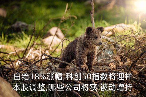 白給18%漲幅,科創(chuàng)50指數(shù)將迎樣本股調整,哪些公司將獲 被動增持