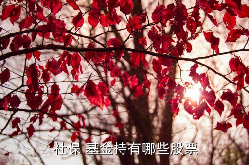 社?；鹚囊蝗M合,全國(guó)社?；鹚囊蝗M合最新持股明細(xì)