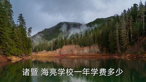 諸暨 海亮學(xué)校一年學(xué)費多少