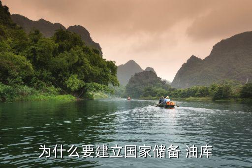 為什么要建立國(guó)家儲(chǔ)備 油庫(kù)