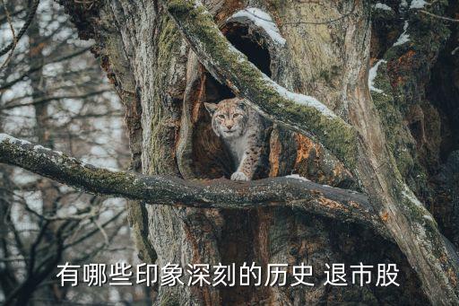 2015已經退市的股票