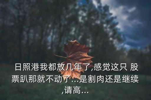  日照港我都放幾年了,感覺這只 股票趴那就不動(dòng)了...是割肉還是繼續(xù),請高...