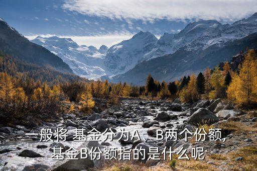 一般將 基金分為A、B兩個份額, 基金B(yǎng)份額指的是什么呢