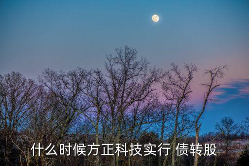 什么時候方正科技實(shí)行 債轉(zhuǎn)股
