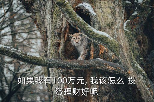 如果我有100萬元, 我該怎么 投資理財(cái)好呢