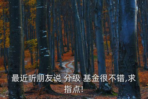 最近聽朋友說 分級 基金很不錯,求指點(diǎn)!