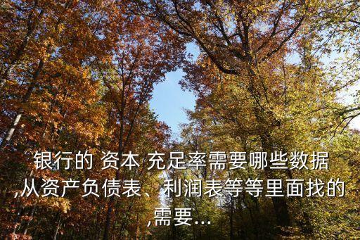  銀行的 資本 充足率需要哪些數(shù)據(jù),從資產(chǎn)負(fù)債表、利潤(rùn)表等等里面找的,需要...