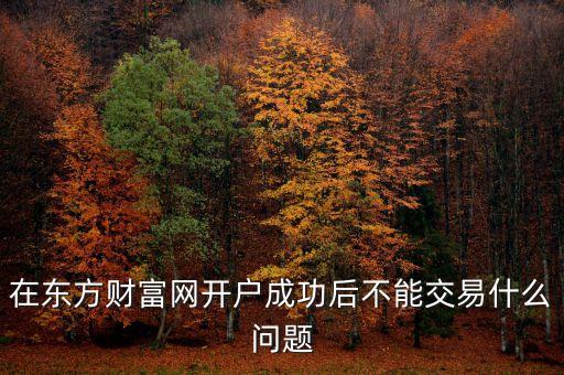 轉入資金后買不了股票