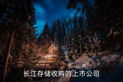 長江存儲(chǔ)收購的上市公司